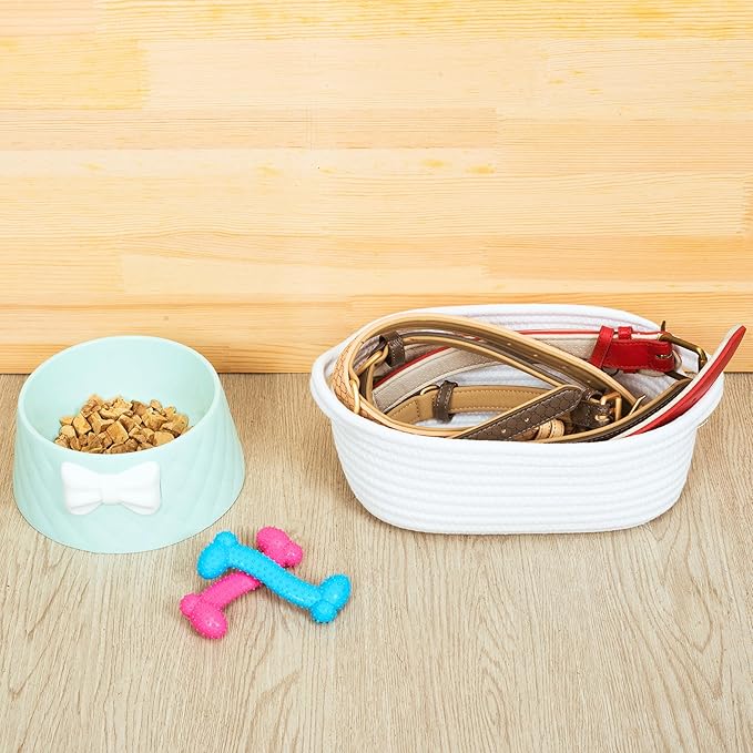 MINTWOOD Design 5-Piece Small Decorative Woven Storage Baskets Set for Shelves and Catch All Tray with Handles for Organizing Gifts, Dog and Cat Toys, Bathroom Accessories, Full White