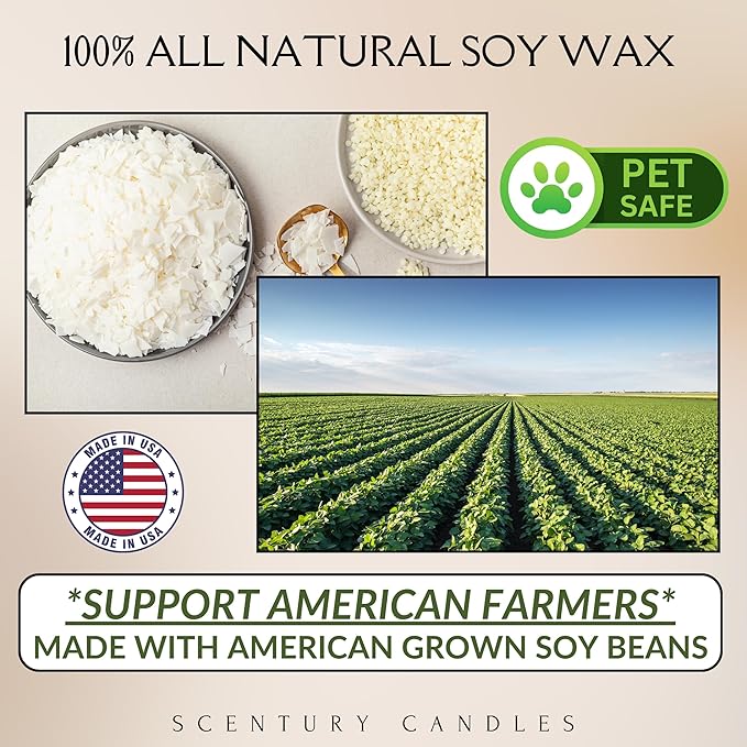 Wickless Candles for Candle Warmer Lamp, Many Scents to Choose, 100% Non-Toxic Soy Wax, Scented Candle Melts for Warming Plate, Handmade in The USA (Peppermint Eucalyptus)