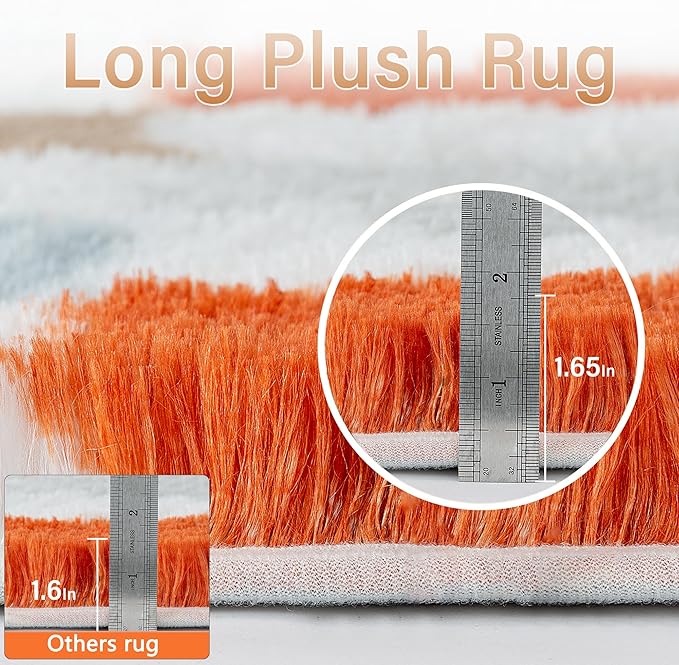 Checkered Rug 4x6 for Living Room, Modern Neutral Shag Rug Super Soft Washable Fluffy Rugs Indoor Fuzzy Carpet for Bedroom Home Dorm Aesthetic Decor