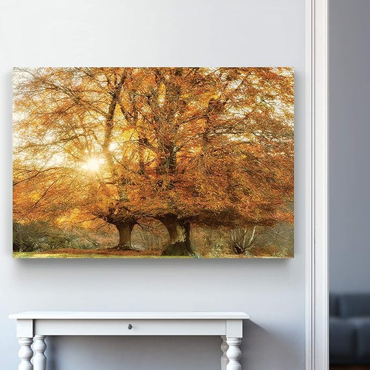 Renditions Gallery Nature Art Pictures & Prints Sunlight coming through Orange Autumn Trees Canvas Hanging Artwork for Bedroom Living Room Office Wall Decor - 18"X27" LT08