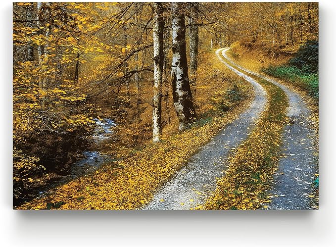 Renditions Gallery Canvas Wall Art Landscape View of Winding Road between the Forest Nature Hanging Artwork for Living Room Office Kitchen Decor - 12"X18" LT08